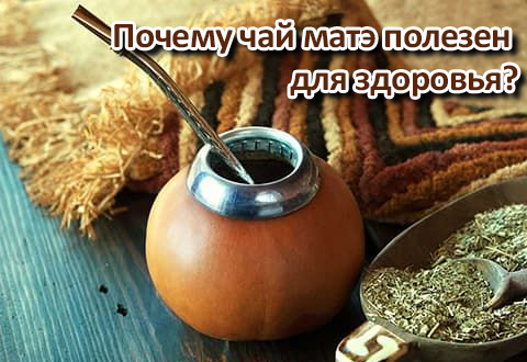 Почему чай матэ полезен для здоровья и как его готовить правильно